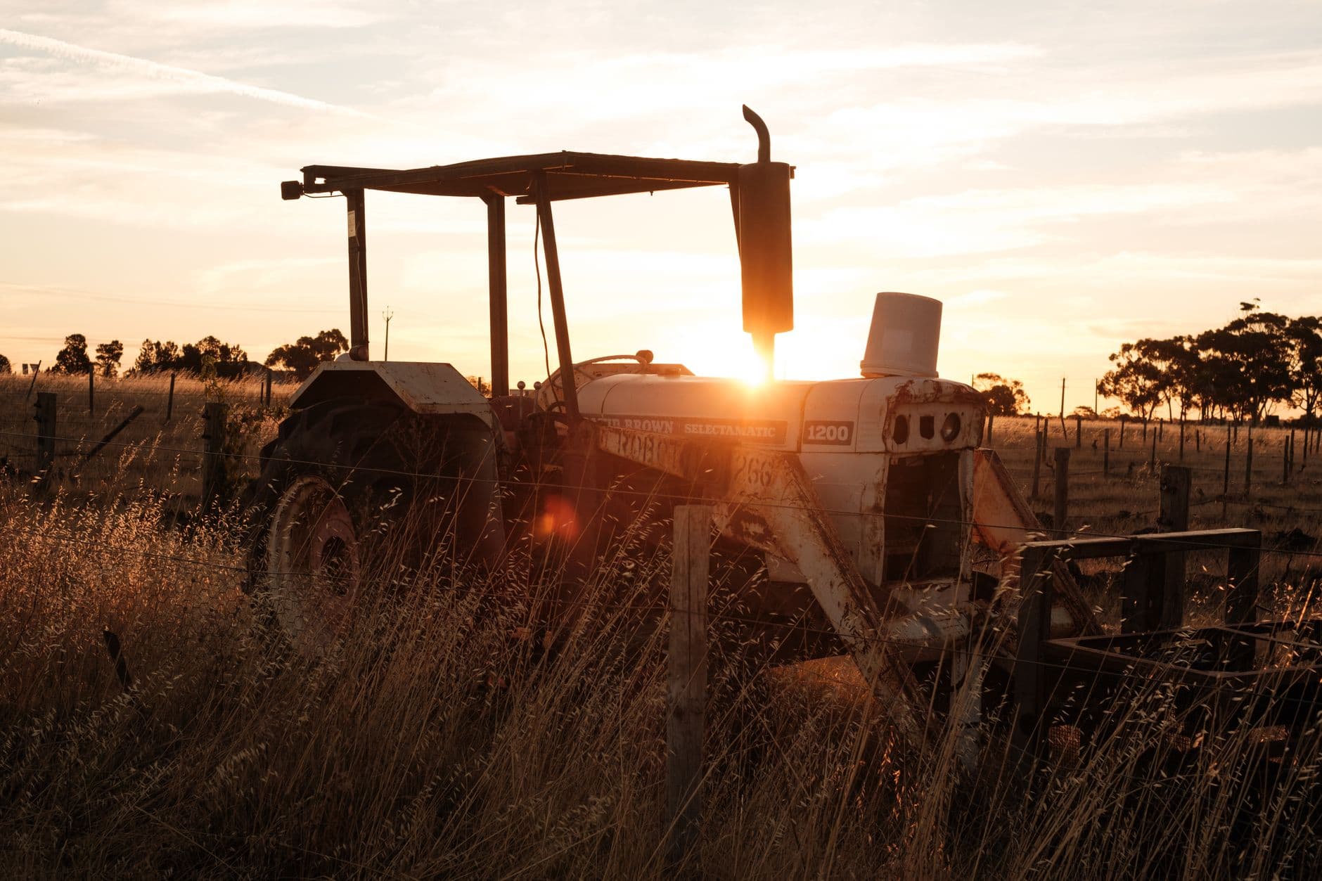 Commercial, Tractor & Diesel Oils